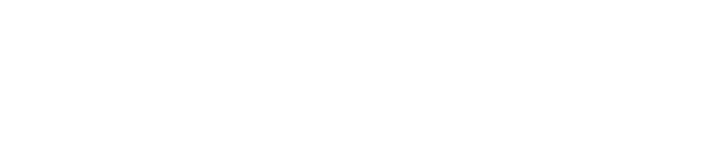 NSR150 Logo